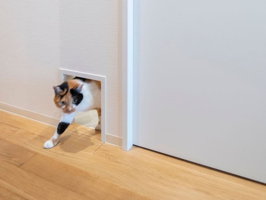 中古マンションのリノベーション後のサニタリーの猫穴